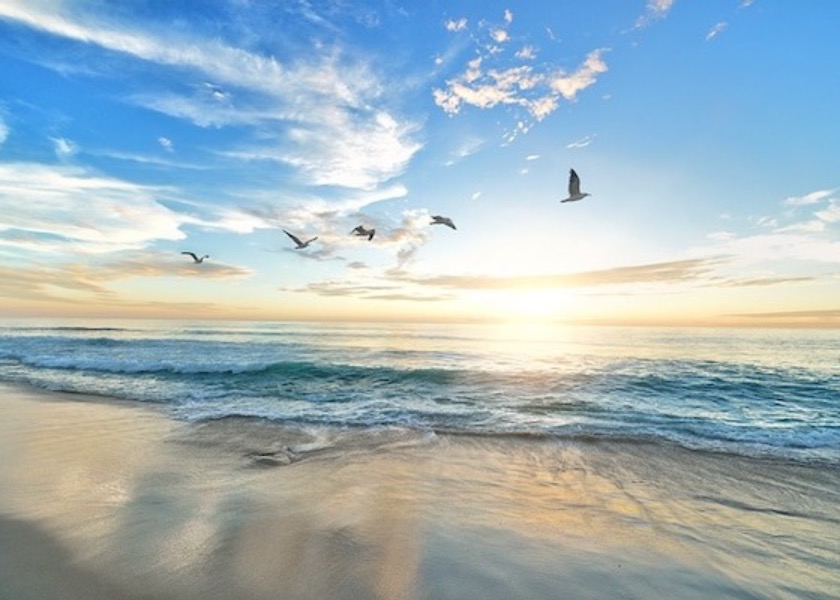 Image for article A Room Full of Police Officers Listened When I Talked About Falun Dafa