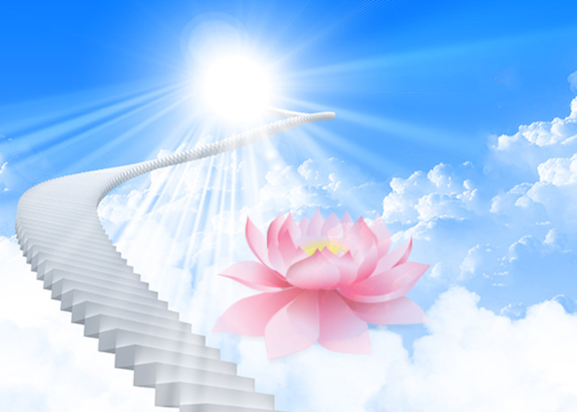 Image for article A Young Practitioner’s Cultivation Experiences