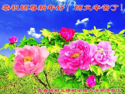 Image for article Falun Dafa Practitioners from Changchun City Respectfully Wish Master Li Hongzhi a Happy New Year (24 Greetings)