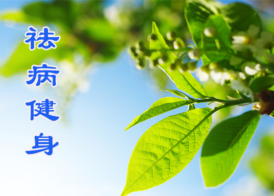 Image for article Falun Dafa Gave Me a Second Life