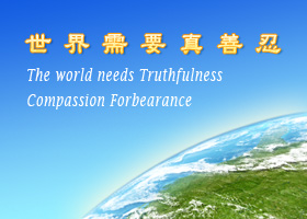 Image for article Western Practitioners Inspired by Articles on World Falun Dafa Day Events and Recognition