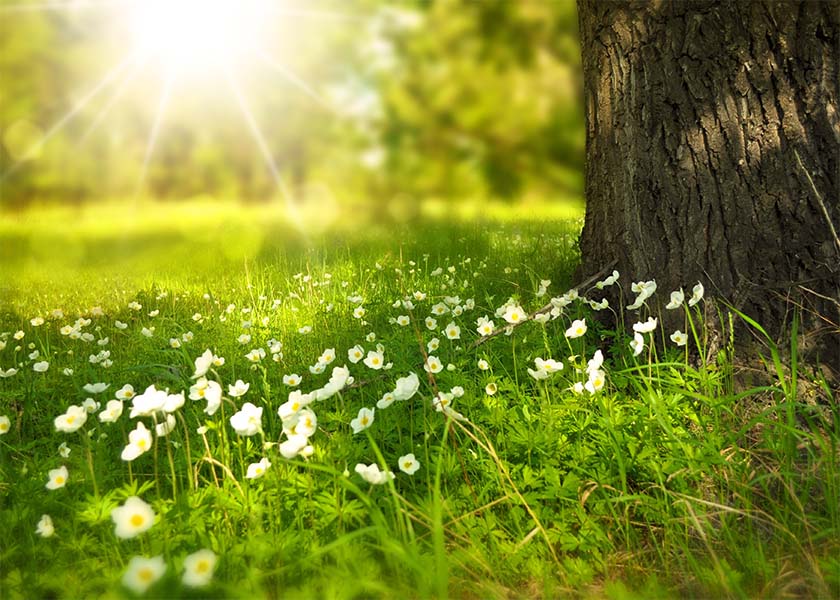 Image for article Falun Dafa Rescued Me from the Abyss of Drug Addiction