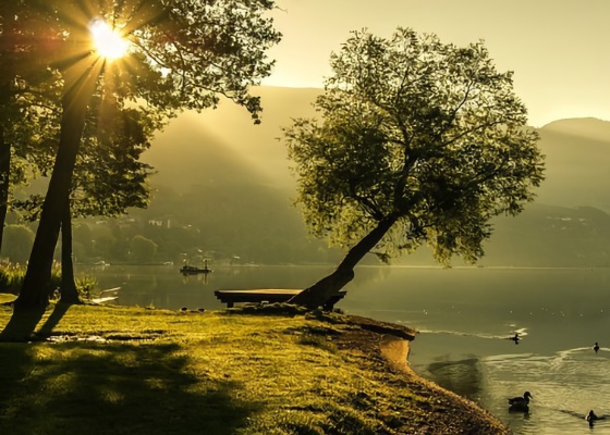 Image for article The Rise and Fall of Education in China