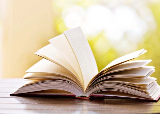 Image for article Podcast (Cultivation): The 22nd China Fa Conference on Minghui (38)