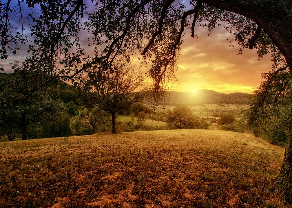 Image for article Police Officer: “Falun Dafa Has Brought About Two Miracles in Your Life!”