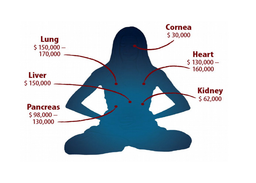 Image for article Twenty Years After the CCP’s Organ Harvesting Was Exposed: Where Are We Now?