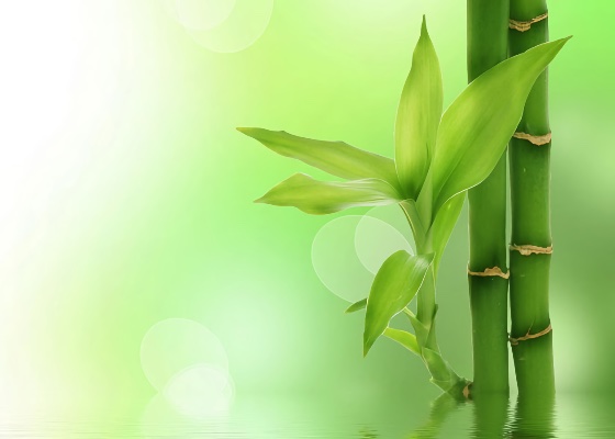 Image for article Dafa Gave Me a New Lease on Life