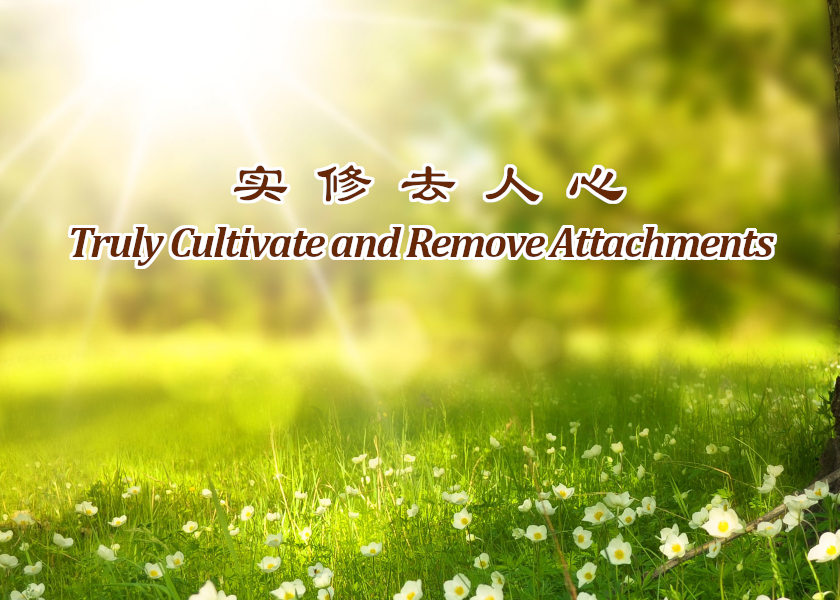 Image for article Practicing Falun Dafa Is a Blessing