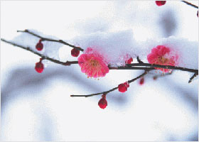 Image for article My Fa Study Group Improves by Submitting Articles to Minghui’s China Fa Conference