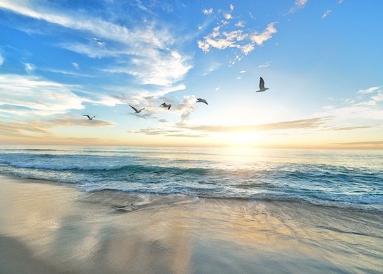 Image for article Falun Dafa Cured My Terminal Illness